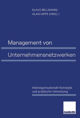 Hippe / Bellmann |  Management von Unternehmensnetzwerken | Buch |  Sack Fachmedien