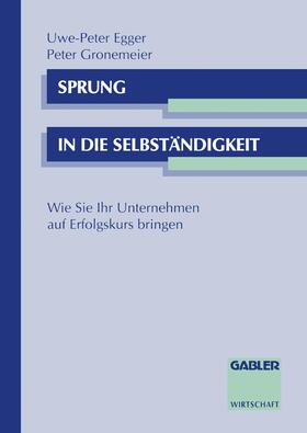 Gronemeier |  Sprung in die Selbständigkeit | Buch |  Sack Fachmedien