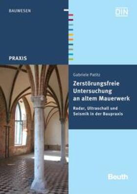 Patitz / DIN e.V. |  Zerstörungsfreie Untersuchung an altem Mauerwerk | Buch |  Sack Fachmedien