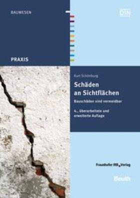Schönburg / DIN e.V. |  Schönburg, K: Schäden an Sichtflächen | Buch |  Sack Fachmedien
