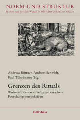 Büttner / Schmidt / Töbelmann |  Grenzen des Rituals | Buch |  Sack Fachmedien