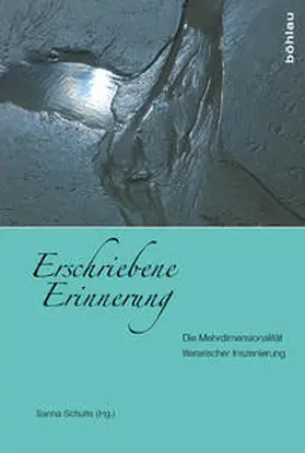 Schulte |  Erschriebene Erinnerung | Buch |  Sack Fachmedien