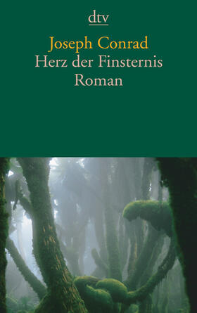 Conrad |  Herz der Finsternis | Buch |  Sack Fachmedien