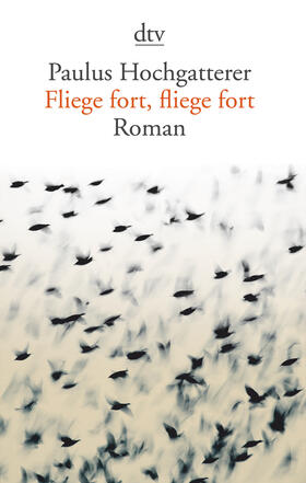 Hochgatterer |  Fliege fort, fliege fort | Buch |  Sack Fachmedien