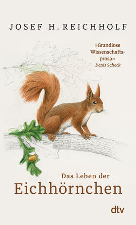 Reichholf |  Das Leben der Eichhörnchen | Buch |  Sack Fachmedien