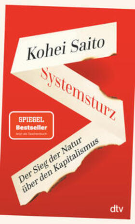 Saito |  Systemsturz | Buch |  Sack Fachmedien