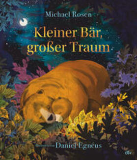 Rosen |  Kleiner Bär, großer Traum | Buch |  Sack Fachmedien