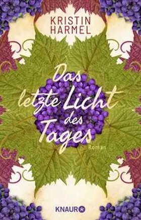 Harmel |  Das letzte Licht des Tages | Buch |  Sack Fachmedien