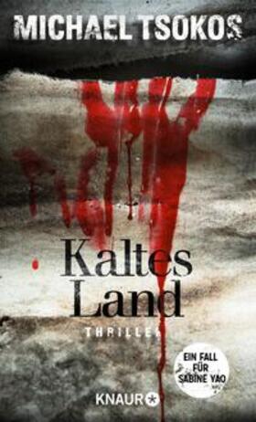 Tsokos |  Kaltes Land | eBook | Sack Fachmedien