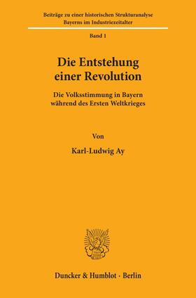 Ay |  Die Entstehung einer Revolution. | Buch |  Sack Fachmedien