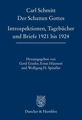 Schmitt / Giesler / Hüsmert |  Der Schatten Gottes | Buch |  Sack Fachmedien