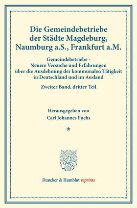 Fuchs |  Die Gemeindebetriebe der Städte Magdeburg, Naumburg a.S., Frankfurt a.M. | Buch |  Sack Fachmedien