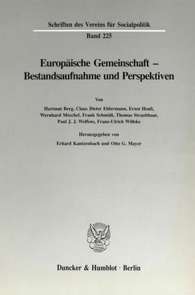 Kantzenbach / Mayer |  Europäische Gemeinschaft - Bestandsaufnahme und Perspektiven. | eBook | Sack Fachmedien