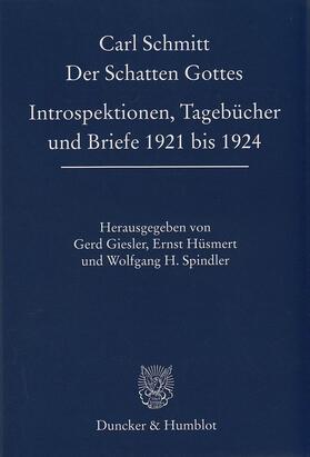 Schmitt / Giesler / Spindler |  Der Schatten Gottes | eBook | Sack Fachmedien