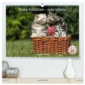 Hutfluss / CALVENDO |  Süße Kätzchen - cute kittens (hochwertiger Premium Wandkalender 2025 DIN A2 quer), Kunstdruck in Hochglanz | Sonstiges |  Sack Fachmedien