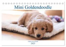 Schulz / CALVENDO |  Mini Goldendoodle - Glück ist ein Hund (Tischkalender 2025 DIN A5 quer), CALVENDO Monatskalender | Sonstiges |  Sack Fachmedien