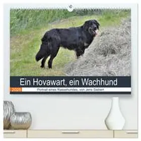 Siebert / CALVENDO |  Ein Hovawart, ein Wachhund (hochwertiger Premium Wandkalender 2025 DIN A2 quer), Kunstdruck in Hochglanz | Sonstiges |  Sack Fachmedien