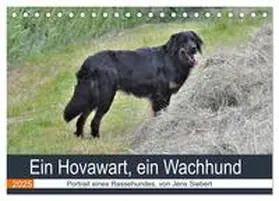 Siebert / CALVENDO |  Ein Hovawart, ein Wachhund (Tischkalender 2025 DIN A5 quer), CALVENDO Monatskalender | Sonstiges |  Sack Fachmedien