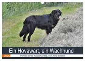 Siebert / CALVENDO |  Ein Hovawart, ein Wachhund (Wandkalender 2025 DIN A3 quer), CALVENDO Monatskalender | Sonstiges |  Sack Fachmedien