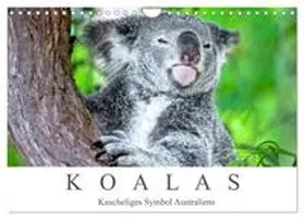 Meyer / CALVENDO |  Koalas - Kuscheliges Symbol Australiens (Wandkalender 2025 DIN A4 quer), CALVENDO Monatskalender | Sonstiges |  Sack Fachmedien