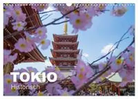 Schindler / CALVENDO |  Tokio Kalender mit historischen Tempeln und Schreinen (Wandkalender 2025 DIN A3 quer), CALVENDO Monatskalender | Sonstiges |  Sack Fachmedien