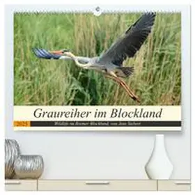 Siebert / CALVENDO |  Graureiher im Blockland (hochwertiger Premium Wandkalender 2025 DIN A2 quer), Kunstdruck in Hochglanz | Sonstiges |  Sack Fachmedien