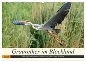 Siebert / CALVENDO |  Graureiher im Blockland (Wandkalender 2025 DIN A2 quer), CALVENDO Monatskalender | Sonstiges |  Sack Fachmedien