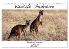 Müller / CALVENDO |  Wildlife Australien (Tischkalender 2025 DIN A5 quer), CALVENDO Monatskalender | Sonstiges |  Sack Fachmedien