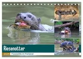 und Yvonne Herzog / CALVENDO |  Riesenotter - Flusswölfe im Pantanal (Tischkalender 2025 DIN A5 quer), CALVENDO Monatskalender | Sonstiges |  Sack Fachmedien