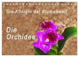 Rosenthal / CALVENDO |  Die Königin der Blumenwelt, die Orchidee (Tischkalender 2025 DIN A5 quer), CALVENDO Monatskalender | Sonstiges |  Sack Fachmedien