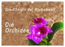 Rosenthal / CALVENDO |  Die Königin der Blumenwelt, die Orchidee (Wandkalender 2025 DIN A3 quer), CALVENDO Monatskalender | Sonstiges |  Sack Fachmedien