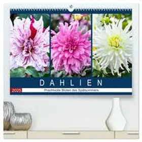 Meyer / CALVENDO |  Dahlien - Prachtvolle Blüten des Spätsommers (hochwertiger Premium Wandkalender 2025 DIN A2 quer), Kunstdruck in Hochglanz | Sonstiges |  Sack Fachmedien