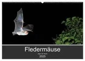 Schäfer / CALVENDO |  Fledermäuse - Jäger der Nacht (Wandkalender 2025 DIN A2 quer), CALVENDO Monatskalender | Sonstiges |  Sack Fachmedien