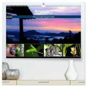 Herzog / CALVENDO |  Borneo - Tierparadies Regenwald (hochwertiger Premium Wandkalender 2025 DIN A2 quer), Kunstdruck in Hochglanz | Sonstiges |  Sack Fachmedien