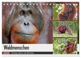 Herzog / CALVENDO |  Waldmenschen - Orang Utans auf Borneo (Tischkalender 2025 DIN A5 quer), CALVENDO Monatskalender | Sonstiges |  Sack Fachmedien