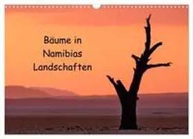 Berger / CALVENDO |  Bäume in Namibias Landschaften (Wandkalender 2025 DIN A3 quer), CALVENDO Monatskalender | Sonstiges |  Sack Fachmedien