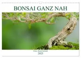 Schmidt / CALVENDO |  Bonsai ganz nah (Wandkalender 2025 DIN A3 quer), CALVENDO Monatskalender | Sonstiges |  Sack Fachmedien