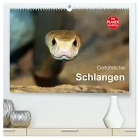 Herzog / CALVENDO |  Gefährliche Schlangen (hochwertiger Premium Wandkalender 2025 DIN A2 quer), Kunstdruck in Hochglanz | Sonstiges |  Sack Fachmedien