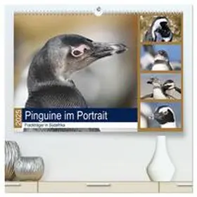 und Yvonne Herzog / CALVENDO |  Pinguine im Portrait - Frackträger in Südafrika (hochwertiger Premium Wandkalender 2025 DIN A2 quer), Kunstdruck in Hochglanz | Sonstiges |  Sack Fachmedien