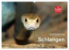 Herzog / CALVENDO |  Gefährliche Schlangen (Wandkalender 2025 DIN A2 quer), CALVENDO Monatskalender | Sonstiges |  Sack Fachmedien