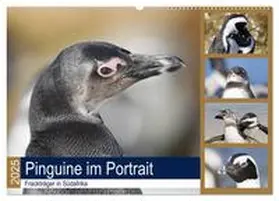 und Yvonne Herzog / CALVENDO |  Pinguine im Portrait - Frackträger in Südafrika (Wandkalender 2025 DIN A2 quer), CALVENDO Monatskalender | Sonstiges |  Sack Fachmedien