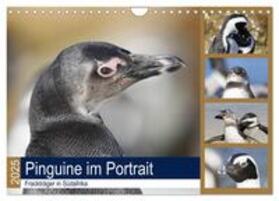 und Yvonne Herzog / CALVENDO | Pinguine im Portrait - Frackträger in Südafrika (Wandkalender 2025 DIN A4 quer), CALVENDO Monatskalender | Sonstiges | 978-3-435-38378-8 | sack.de
