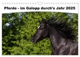 Hutfluss / CALVENDO |  Pferde - im Galopp durch's Jahr 2025 (Wandkalender 2025 DIN A4 quer), CALVENDO Monatskalender | Sonstiges |  Sack Fachmedien