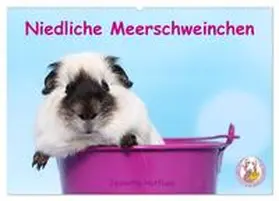 Hutfluss / CALVENDO |  Niedliche Meerschweinchen (Wandkalender 2025 DIN A2 quer), CALVENDO Monatskalender | Sonstiges |  Sack Fachmedien