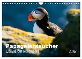 Wagner / CALVENDO |  PAPAGEIENTAUCHER - Clowns der Nordmeere (Wandkalender 2025 DIN A4 quer), CALVENDO Monatskalender | Sonstiges |  Sack Fachmedien