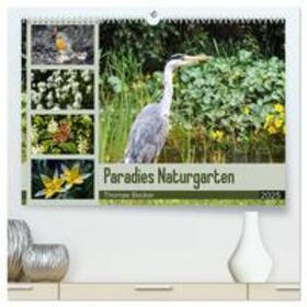 Becker / CALVENDO |  Paradies Naturgarten (hochwertiger Premium Wandkalender 2025 DIN A2 quer), Kunstdruck in Hochglanz | Sonstiges |  Sack Fachmedien