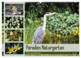 Becker / CALVENDO |  Paradies Naturgarten (Wandkalender 2025 DIN A2 quer), CALVENDO Monatskalender | Sonstiges |  Sack Fachmedien
