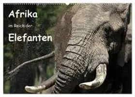 Herzog / CALVENDO |  Afrika - im Reich der Elefanten (Wandkalender 2025 DIN A2 quer), CALVENDO Monatskalender | Sonstiges |  Sack Fachmedien