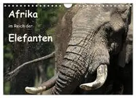 Herzog / CALVENDO |  Afrika - im Reich der Elefanten (Wandkalender 2025 DIN A4 quer), CALVENDO Monatskalender | Sonstiges |  Sack Fachmedien