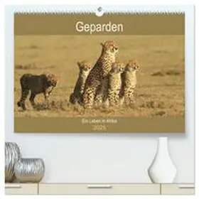 Herzog / CALVENDO |  Geparden - Ein Leben in Afrika (hochwertiger Premium Wandkalender 2025 DIN A2 quer), Kunstdruck in Hochglanz | Sonstiges |  Sack Fachmedien